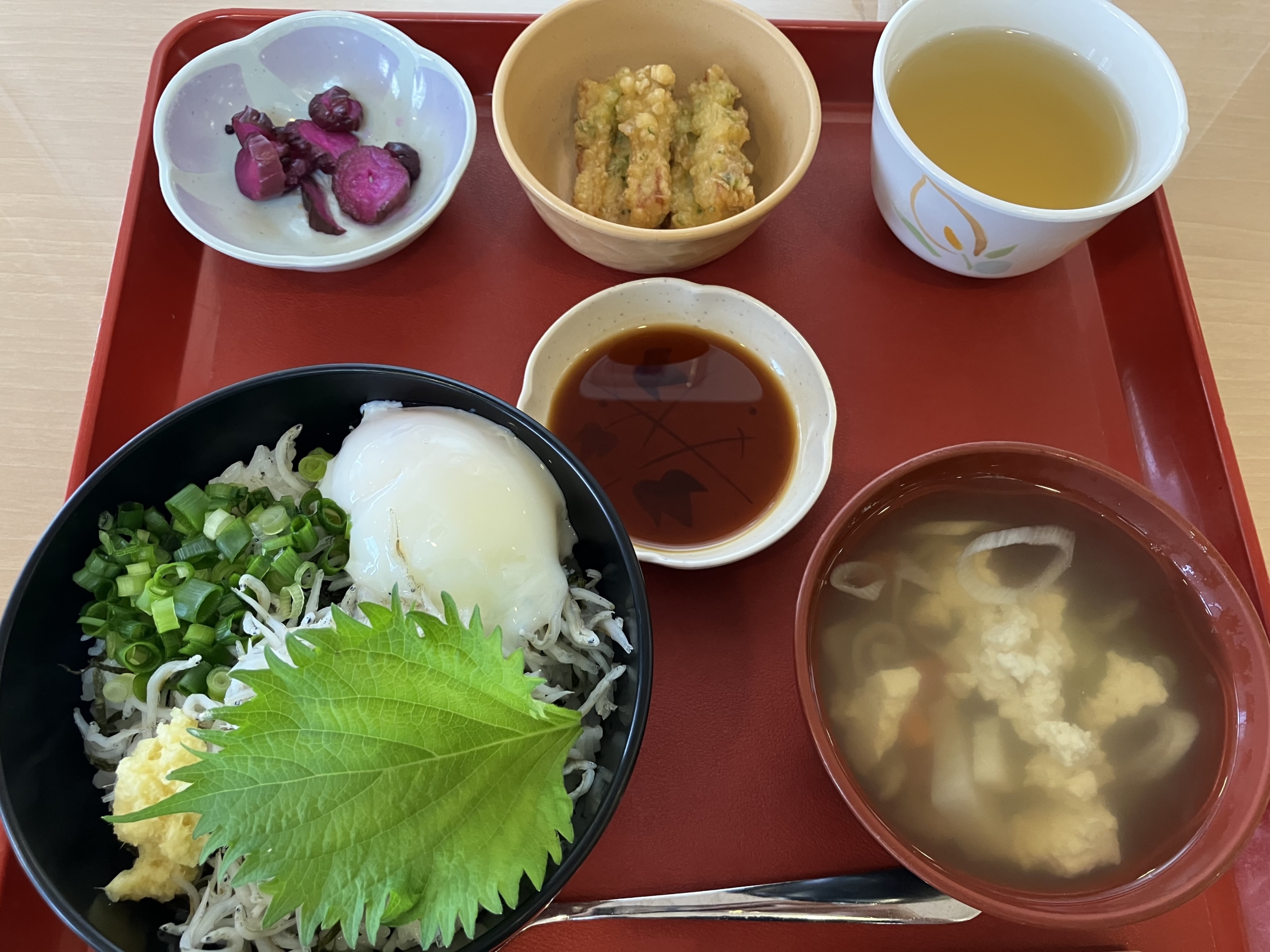 【神奈川ご当地グルメ】絶品「温玉しらす丼」と伝統の「けんちん汁」を味わう！湘南・鎌倉の魅力を詰め込んだ贅沢ランチ