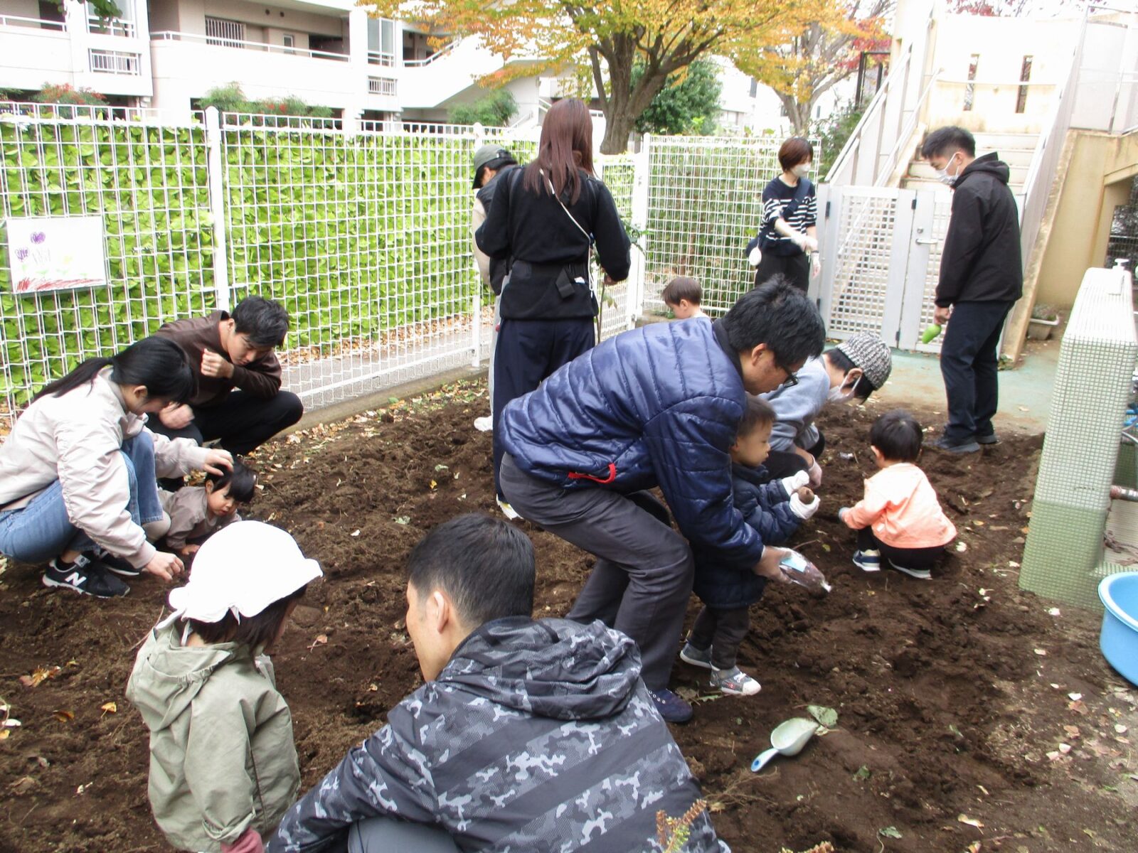 11月8日（土）ファミリーデイ「おいもさがし」を開催しました！