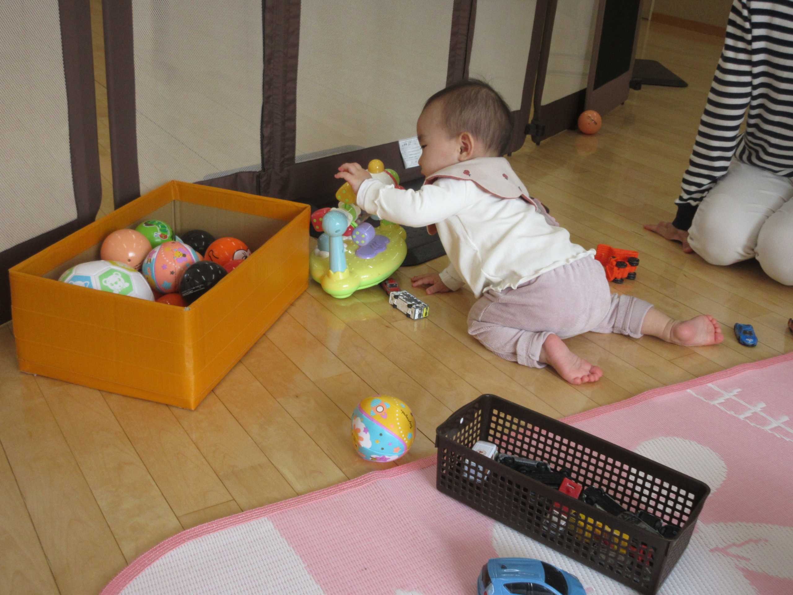 お友達が遊びに来たよ！