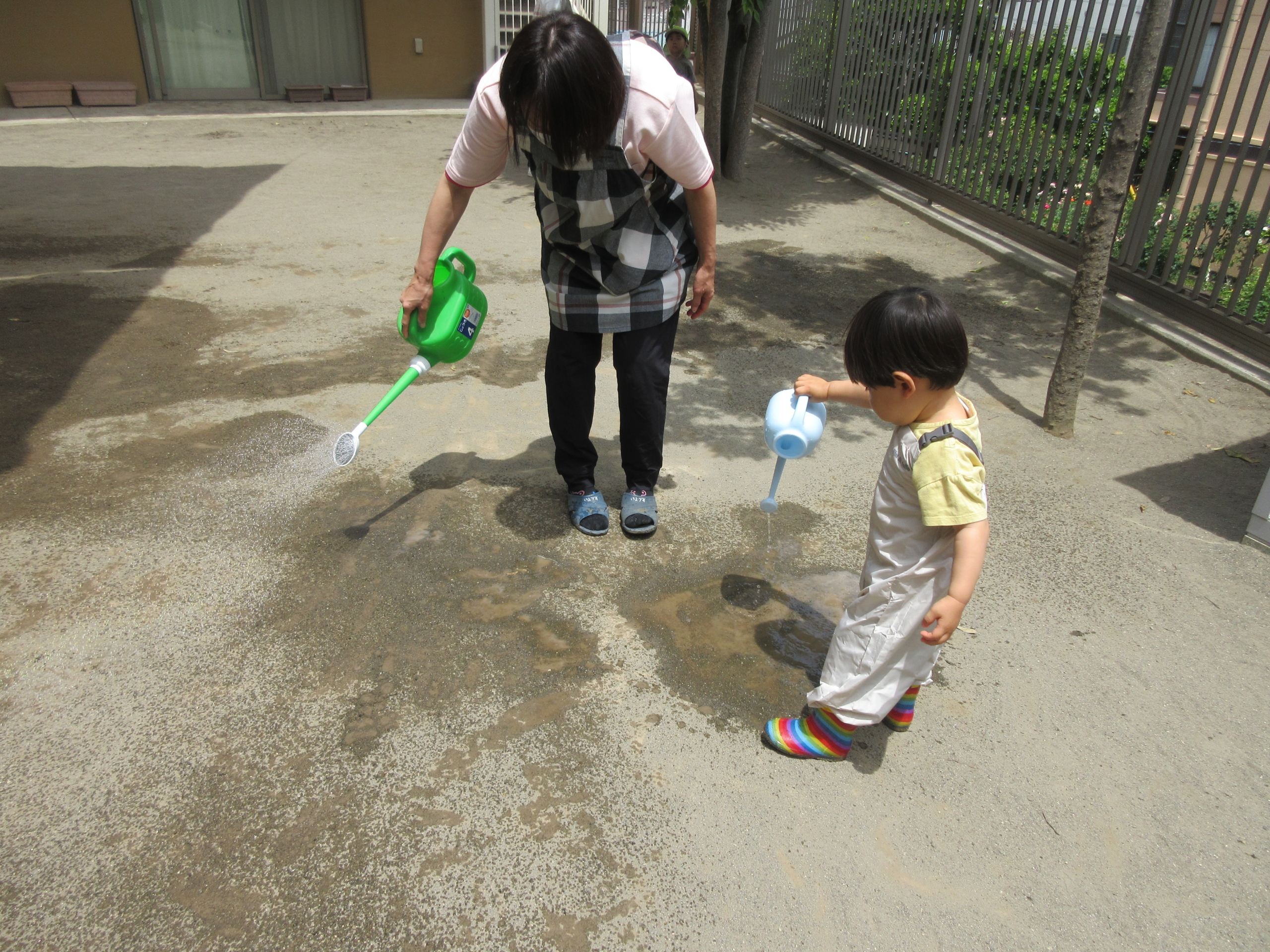 「水打ちでひんやり🌿夏への準備完了！」