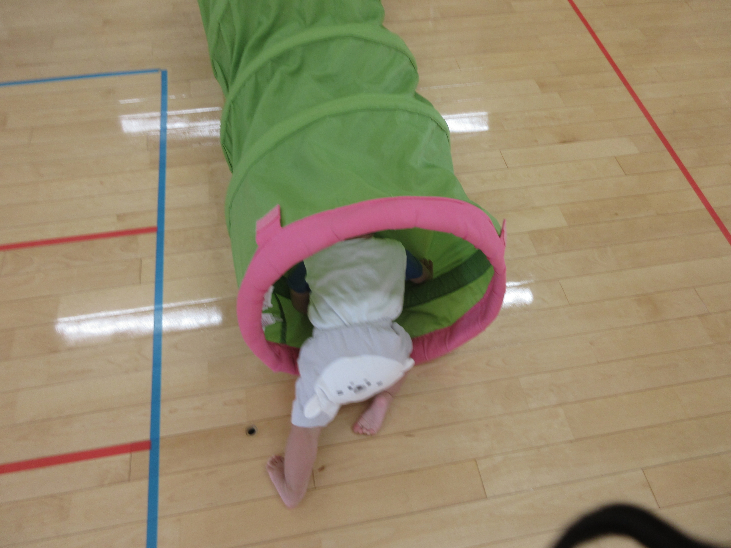 初めてのトンネル😺