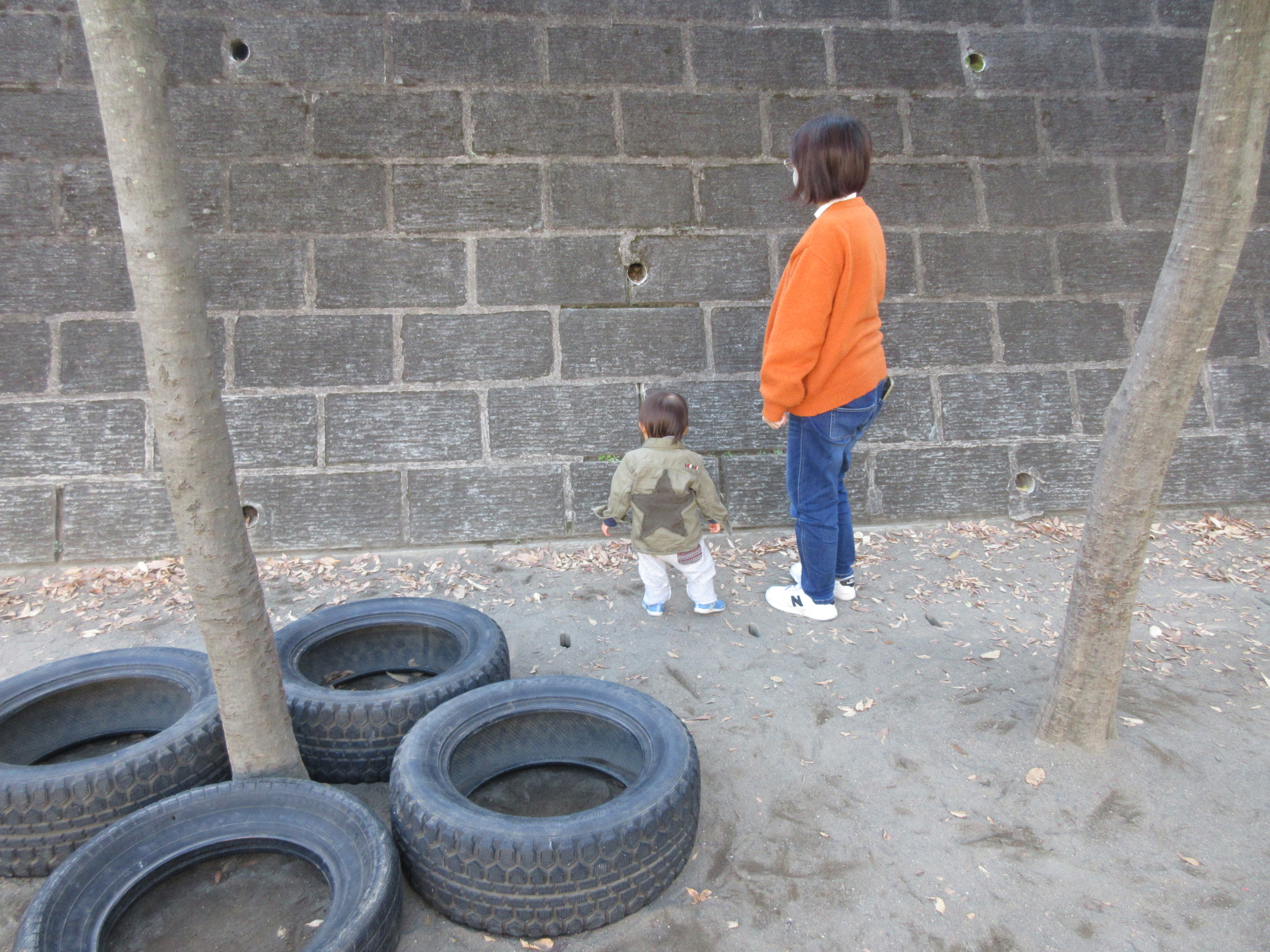 🌼きょうのおそと探検日記🌼