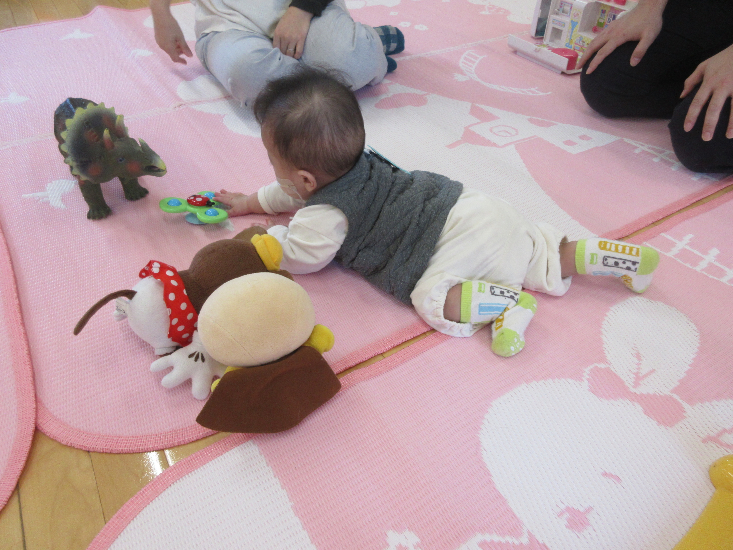 あたらしいお友達が遊びに来たよ💕